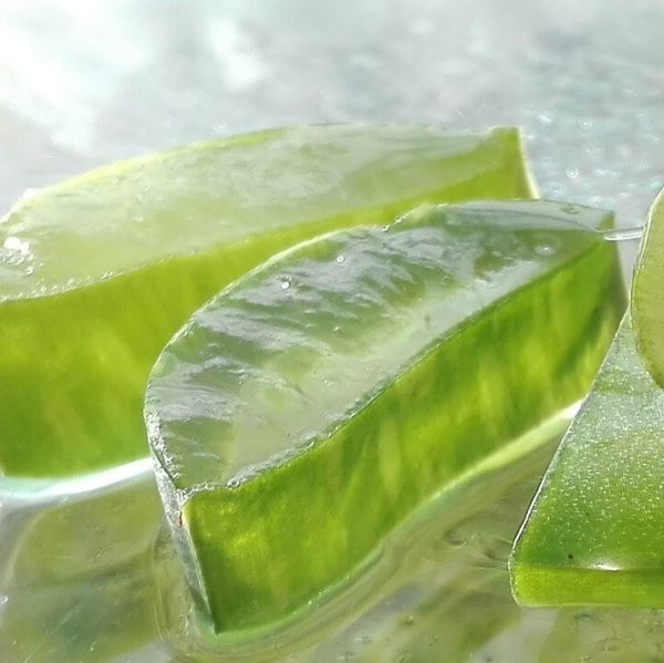 Aloe vera natural en trozos - Imagen 3